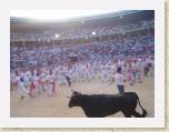 07July05 - Nay, Jenny, Baz, Andy in Spain - Running of Bulls 182 * 2272 x 1704 * (840KB)